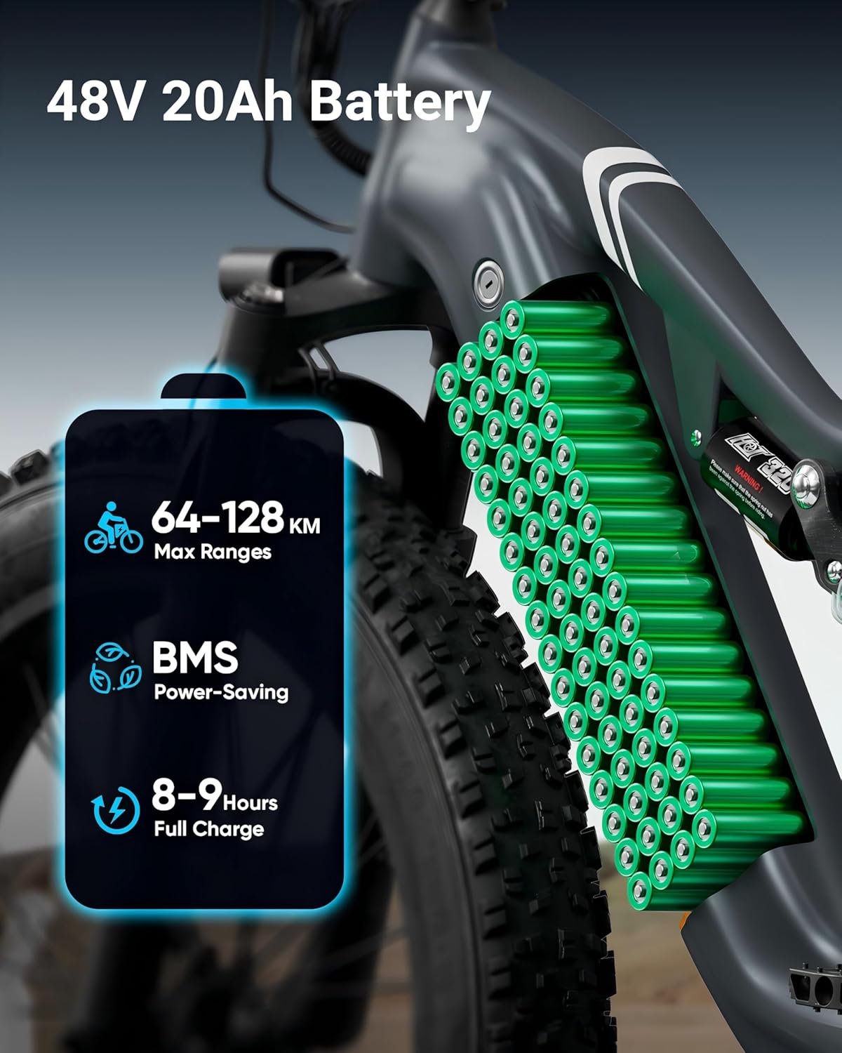 Electric Bike for Adults 1000W